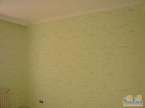 天津塘沽液體壁紙 引領室內裝飾的環保新風尚